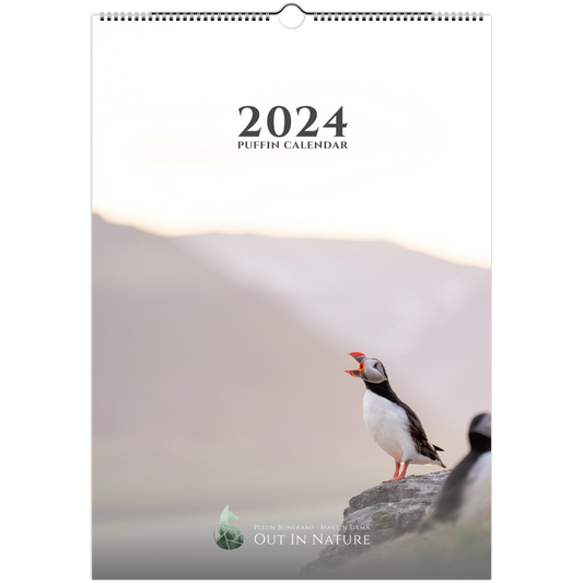 Puffin Calendar 2024 (A3)