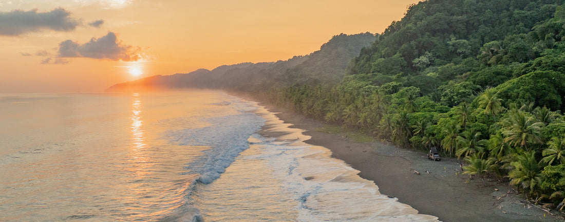 Searching for wildlife in Costa Rica & Panama