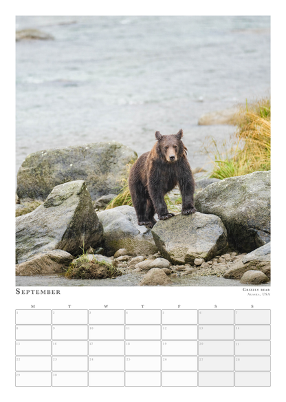 Wildlife Calendar 2025 - Martin (Animals in Environment)