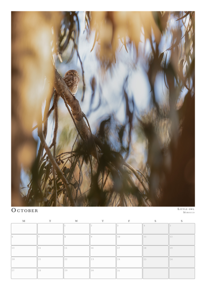 Wildlife Calendar 2025 - Martin (Animals in Environment)
