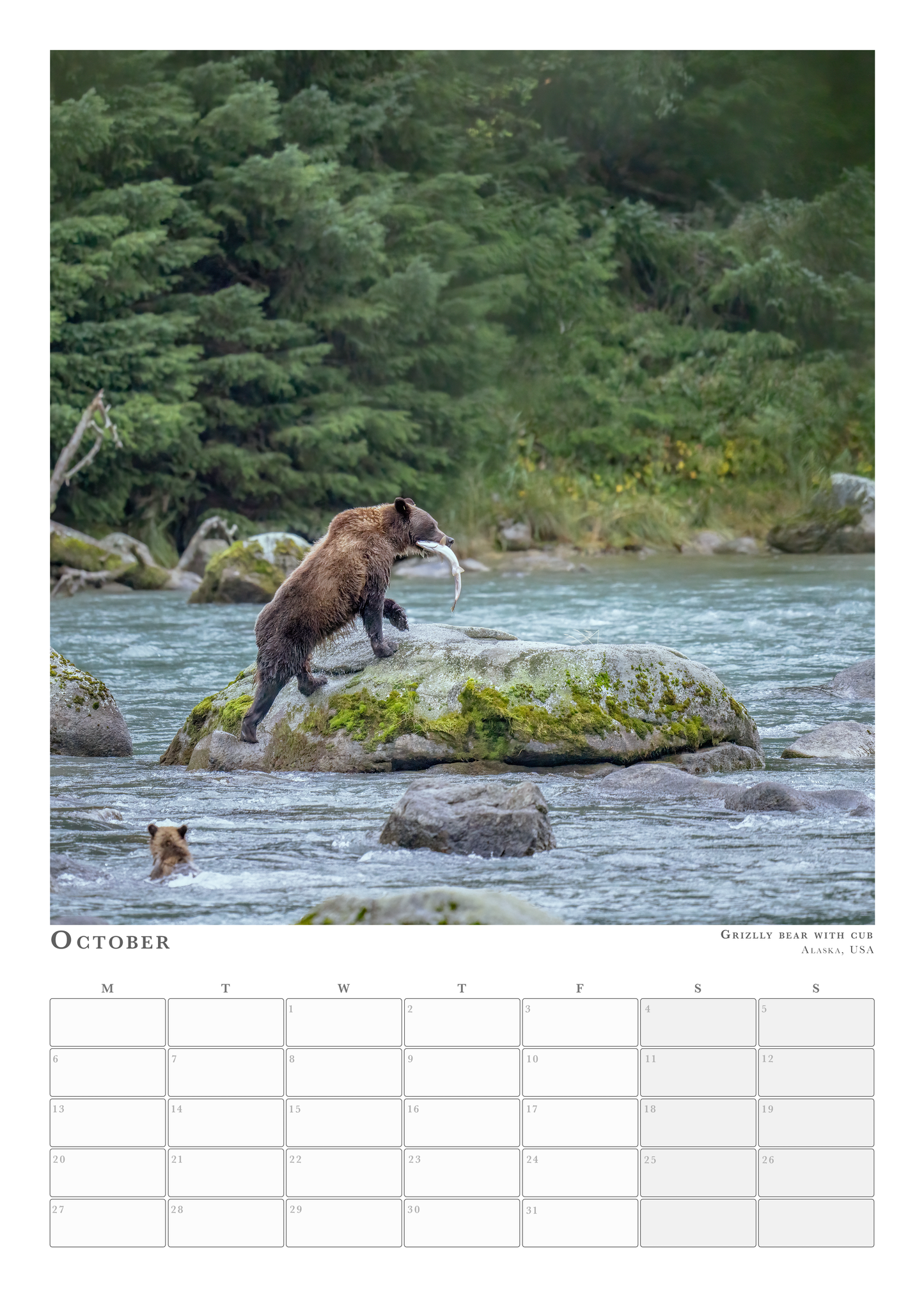 Wildlife Calendar 2025 - Pleun