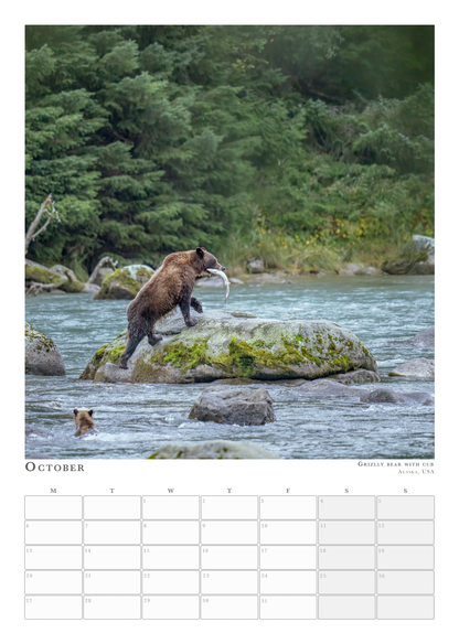 Wildlife Calendar 2025 - Pleun