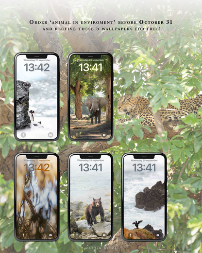 Wildlife Calendar 2025 - Martin (Animals in Environment)