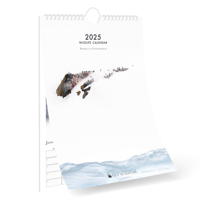 Wildlife Calendar 2025 - Martin (Animals in Environment)