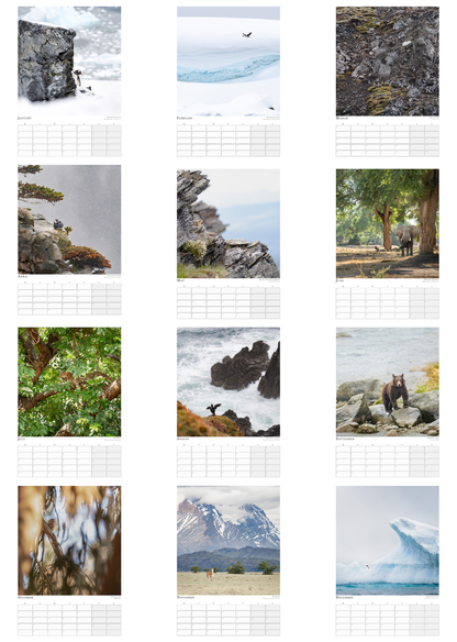 Wildlife Calendar 2025 - Martin (Animals in Environment)